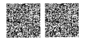 QR Code 1